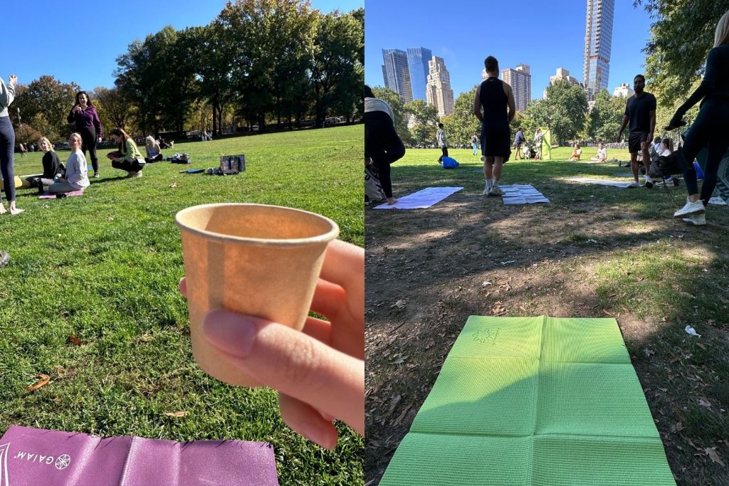 紐約中央公園 Sheep Meadow 野餐